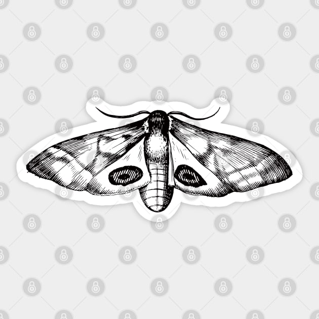 Dramabite Vintage moth illustration Sticker by dramabite